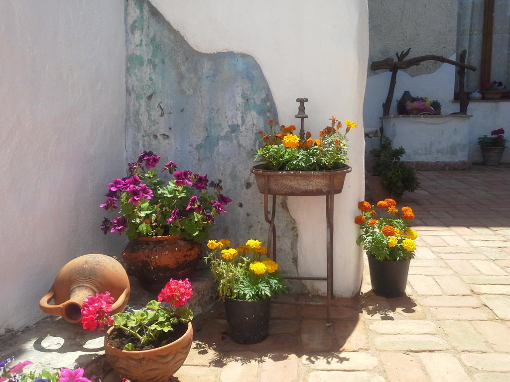 B&B Corte San Lussorio Oliena Esterno foto